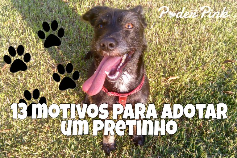 13 motivos para adotar um pretinho